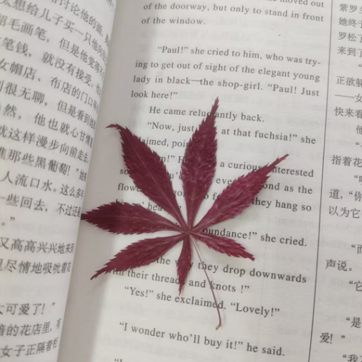 logo of 文雅的疯狂 on the GPT Store