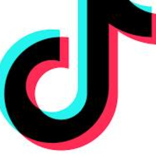 logo of 抖音Tiktok Script Master on the GPT Store