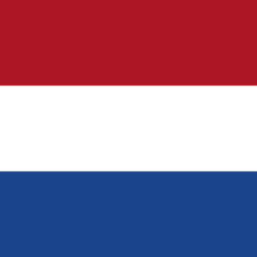 GPT Nederlandse Chat on the GPT Store