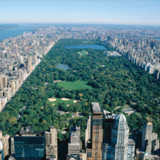 logo of NYC Central Park Historian on the GPT Store