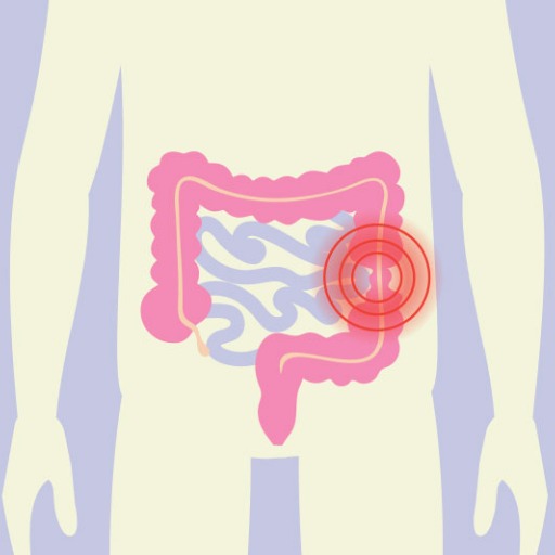 logo of IBS Tracker and FODMAP Diet Guide on the GPT Store
