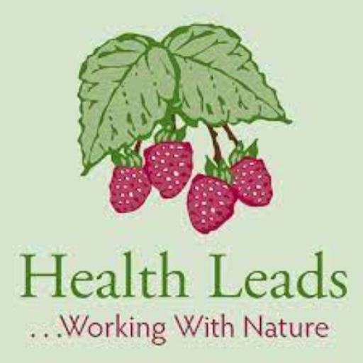 logo of Health Leads on the GPT Store