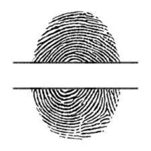 logo of Analizador RGPD de Biometría (1) on the GPT Store