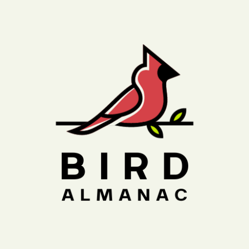 logo of Bird Almanac on the GPT Store