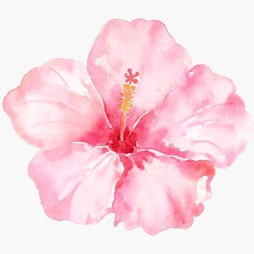 logo of 桃花运算命 on the GPT Store