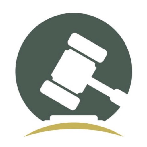 logo of 中国法律专家 on the GPT Store