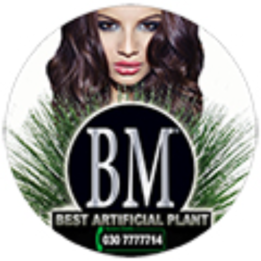 logo of BM™ Assistenza Generale on the GPT Store