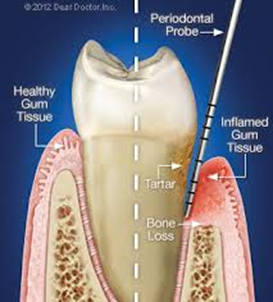 logo of Dental Expert on the GPT Store
